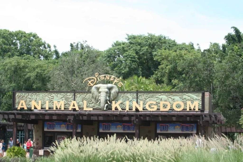 Kilimanjaro Safaris in Animal Kingdom, Walt Disney World