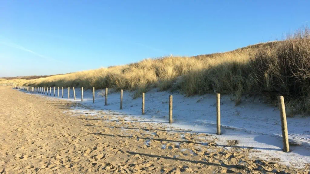 Stranden in Den Haag waar je lekker kunt wandelen, fietsen of zonnen!