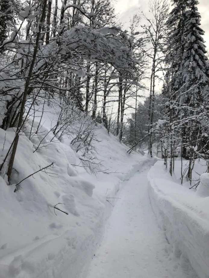 Wintersport Ski Amadé ervaring en welk gebied?